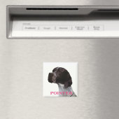 Roze aanwijzer magneet (Insitu (Vaatwasser))