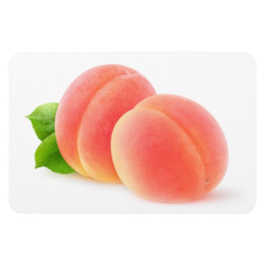 Roze abrikozen magneet (Horizontaal)