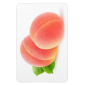 Roze abrikozen magneet (Verticaal)