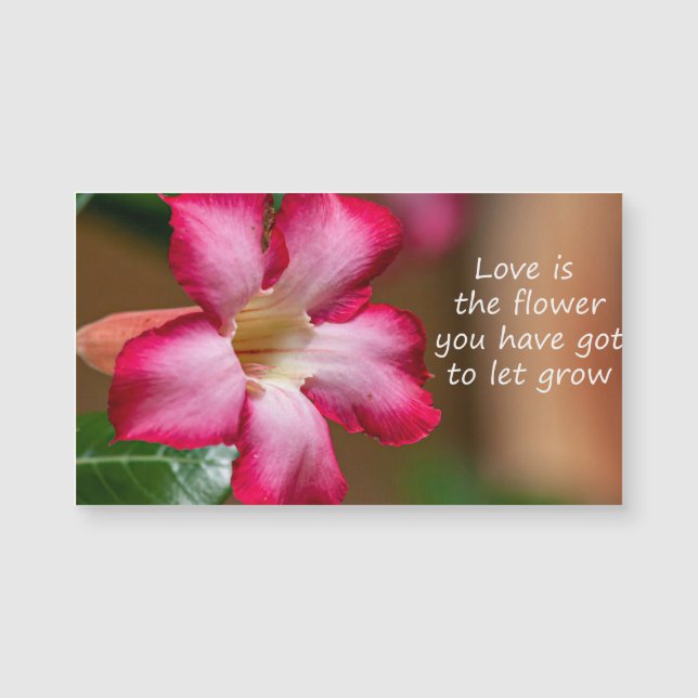 Roze Adenium Obesum bloem ook bekend als Desert Ro (Voorkant)