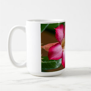 Roze Adenium Obesum bloem ook bekend als Desert Ro Koffiemok