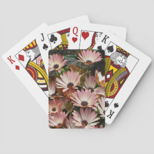 Roze African Daisy Flowers Pokerkaarten