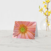 Roze African Daisy Note Kaart (Gele Bloem)