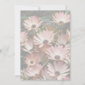 Roze Afrikaanse Daisy Flowers Party Kaart (Achterkant)
