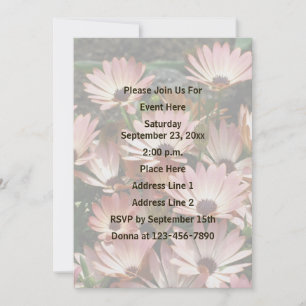 Roze Afrikaanse Daisy Flowers Party Kaart