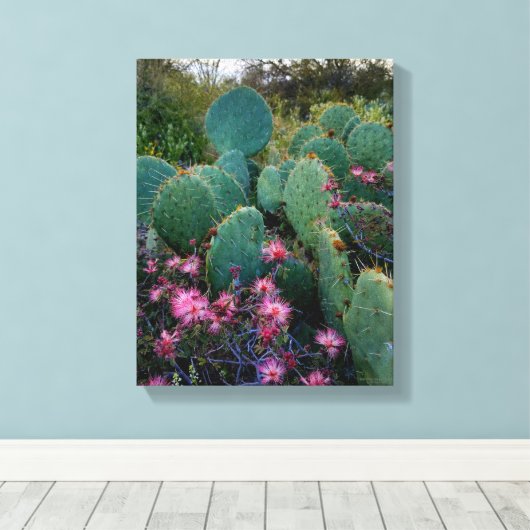 Roze airy Duster Flowers & Prickly Pear Cactus Canvas Afdruk (Insitu (Houten vloer))