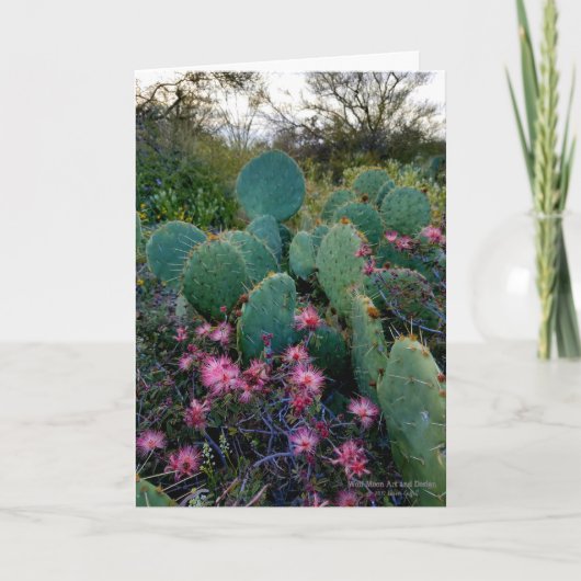 Roze airy Duster Flowers & Prickly Pear Cactus Kaart (Voorkant)