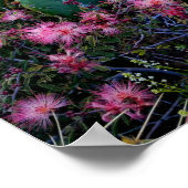 Roze airy Duster Flowers & Prickly Pear Cactus Poster (Hoek)