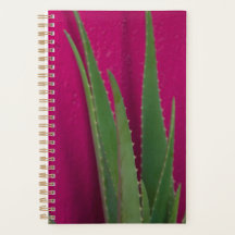 Roze Aloe - Kunst - Aloe Vera tegen roze