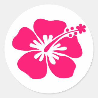 roze aloha ronde sticker