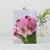 Roze Alstroemeria-4 Kaart (Staand voorkant)