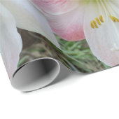 Roze amarylis cadeaupapier voor verpakkingsdoelein (Rol Hoek)