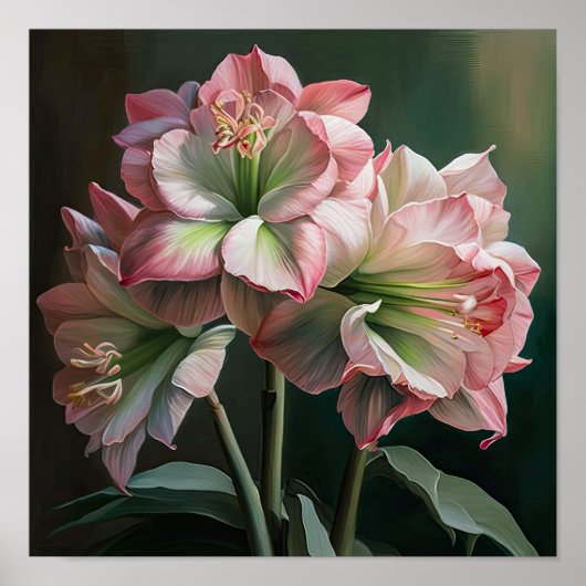 Roze Amaryllis Flower Art Print Poster (Voorkant)