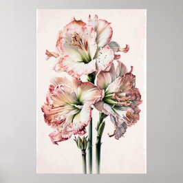Roze Amaryllis Flower Art Print Poster