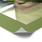 Roze - Amaryllis & Kingfisher Poster (Hoek)