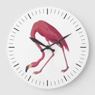Roze Amerikaanse Flamingo Audubon  Art Bird Grote Klok