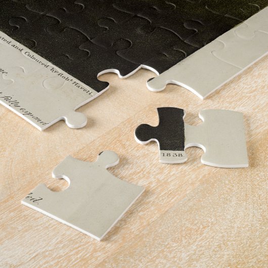 Roze Amerikaanse Flamingo Audubon's Birds of Ameri Legpuzzel (Zijkant)