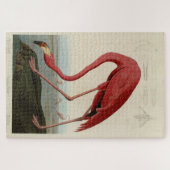 Roze Amerikaanse Flamingo Audubon's Birds of Ameri Legpuzzel (Horizontaal)