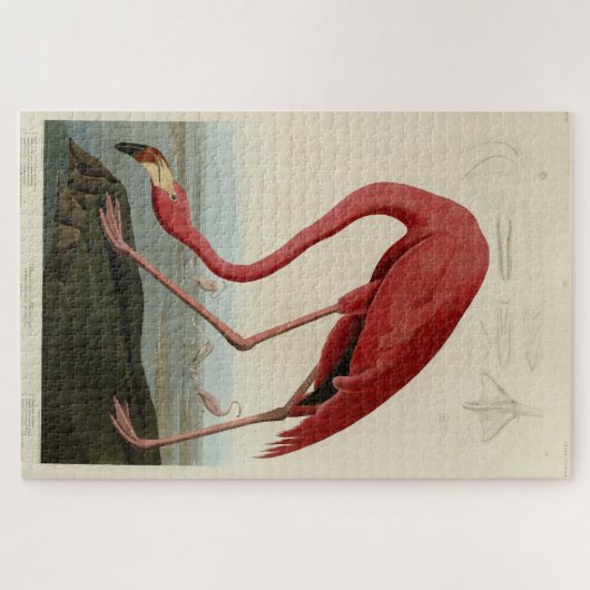 Roze Amerikaanse Flamingo Audubon's Birds of Ameri Legpuzzel (Horizontaal)