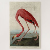 Roze Amerikaanse Flamingo Audubon's Birds of Ameri Legpuzzel (Verticaal)