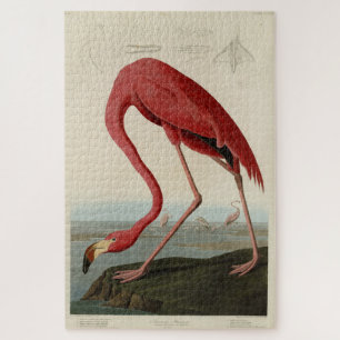 Roze Amerikaanse Flamingo Audubon's Birds of Ameri Legpuzzel