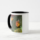Roze anemonefish in Magnificant Zee Anemone Mok (Voorkant links)