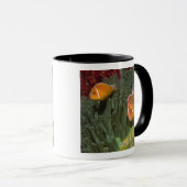 Roze anemonefish in Magnificant Zee Anemone Mok (Voorkant rechts)