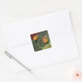 Roze anemonefish in Magnificant Zee Anemone Vierkante Sticker (Envelop)