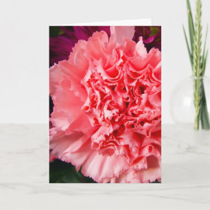"Roze anjer 1." Wenskaart Kaart