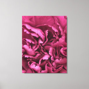 Roze anjer canvas afdruk