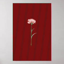 Roze Anjer op Rood – Romantisch Esthetisch Poster