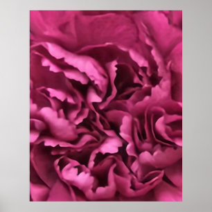 Roze anjer poster