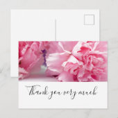 Roze anjerbloemen op witte achtergrond briefkaart (Voorkant / Achterkant)