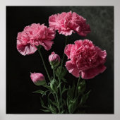 Roze Anjers Bloem Art Print Poster (Voorkant)