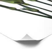 Roze anjers foto afdruk (Hoek)