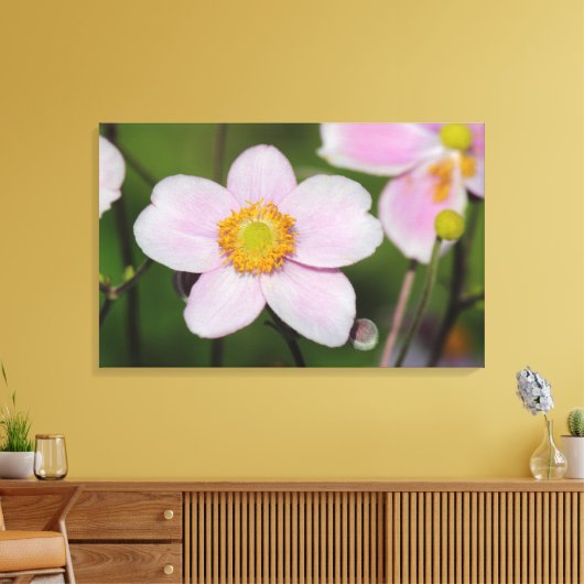 Roze annemon canvas afdruk (Insitu (Woonkamer))