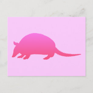 Roze Armadillo Briefkaart