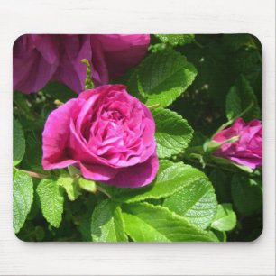Roze aromatische rozen bloemen met groene bladeren muismat