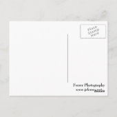 Roze assiatische Lily Briefkaart (Achterkant)