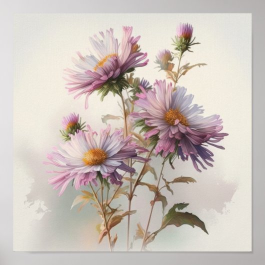 Roze Aster Bloem Art Print Poster (Voorkant)
