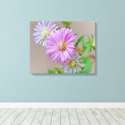 Roze Aster Bloemen Bloemen Bloemen Canvas Art Prin (Insitu (Houten vloer))