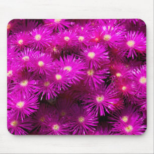 Roze aster Flowers Muismat