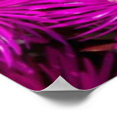 Roze aster Flowers Poster (Hoek)