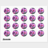 Roze aster Flowers Ronde Sticker (Vel)