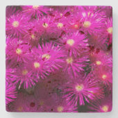 Roze aster Flowers Stenen Onderzetter (Voorkant)