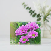 Roze asters briefkaart (Staand voorkant)