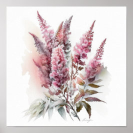 Roze Astilbe Flower Art Print Poster