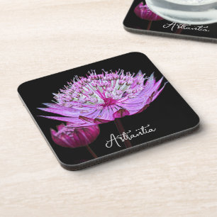 Roze Astrantia Bloem op Zwarte Bloem Bier Onderzetter