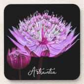 Roze Astrantia Bloem op Zwarte Bloem Bier Onderzetter (Voorkant)