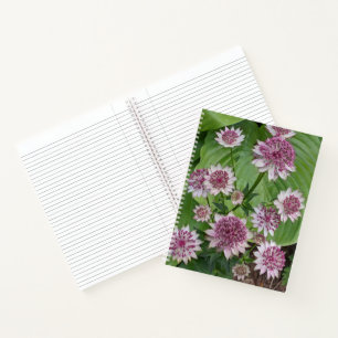 Roze Astrantia Bloesem Bloemen Notitieboek